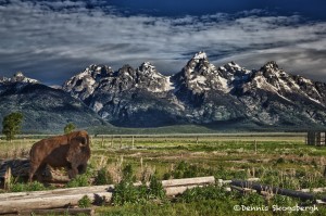 Grand Teton National Park