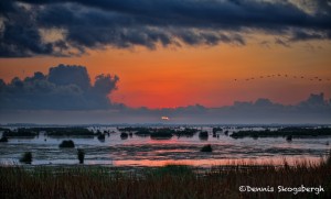 1628 Anahuac National Wildlife Refuge, TX