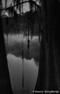 1799 November Morning, Caddo Lake