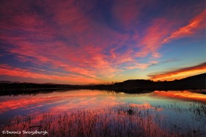 1104 Sunrise, Wichita Mountains National Wildlife Refuge, OK