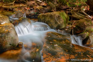 1672 Autumn, Hadlock Brook