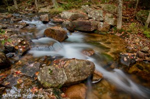 1682 Autumn, Jordan Pond Stream