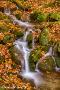 1698 Cascades with Autumn Color