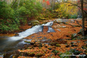 1706 Lynn Camp Prong Cascade with Autumn Color