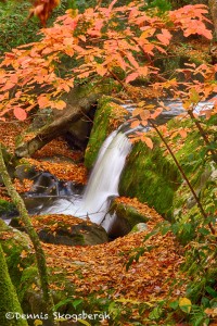 1709 Cascade and Autumn Color