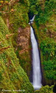 1981 Waterfall