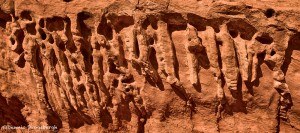 2054 Valley of Fire State Park