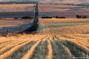2790 Wheat Fields, Sunset, Wasco, OR