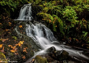 2797 Sheppard's Dell Falls, OR