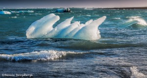 2833 JokuIsarlon Iceberg Beach, Iceland