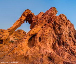 2879 Elephant Rock, Valley of Fire State Park, Nevada