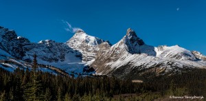 2934 Parker Ridge, Banff National Park, Alberta Canada