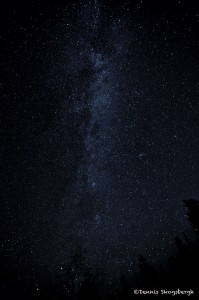 2944 Milky Way over Patricia Lake, Jasper National Park, Alberta, Canada
