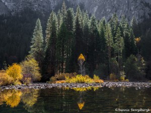 2952 Merced Reflections, November, Yosemite National Park, CA