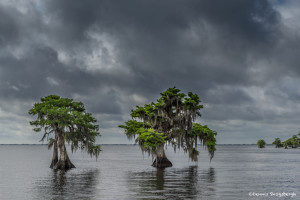 3334 Blue Cypress Lake, Vero Beach, Florida