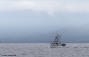 3537 Commercial Fishing, Alaska