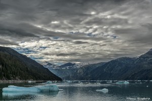 3572 Endicott Arm, Alaska