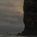 3596 Foggy Moonscape, Seastacks, Cannon Beach, OR
