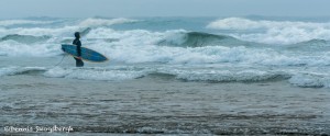 3622 Surfer, Smuggler's Cove, Oregon Coast