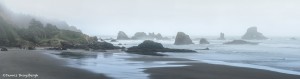 3623 Foggy Indian Beach, Oregon Coast