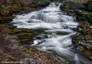 3789 Seneca Falls, October, Ricketts Glen State Park, PA