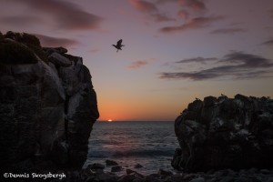 3839 Sunset, Espanola Island, Galapagos