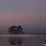 3895 Sunrise, Crane Pond, Bosque del Apache, New Mexico
