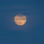 4038 Moonrise, Bosque del Apache NWR, New Mexico