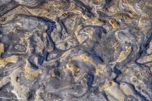 4114 Abstract Rock Pattern, Weston Beach, Point Lobos State Reserve, Big Sur, CA