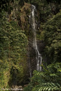 4296 Wailua Falls, Maui, Hawaii