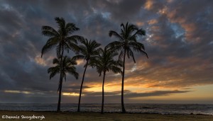 4299 Sunrise, Kapa'a Beach, Kauai, Hawaii