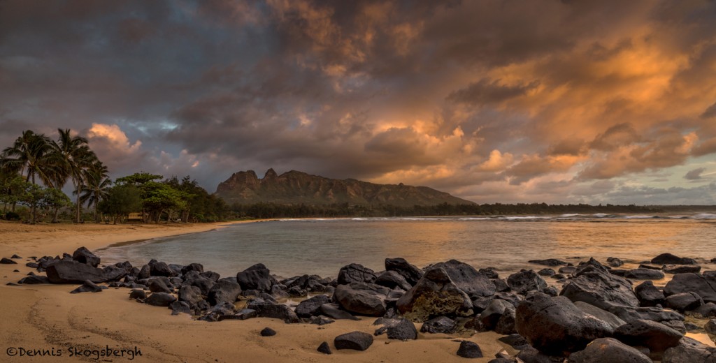 4307 Anahola Beach Park, Kauai, Hawaii Dennis Skogsbergh