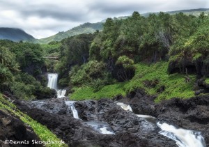 4324 Palikea Stream, Pools of Ohe'o, Waianapanapa State Park, Maui, Hawaii