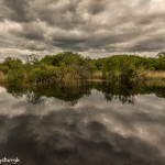 4356 Lough Leane, Killarney National Park, Co. Kerry