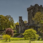 4360 Blarney Castle, Co. Cork, Ireland