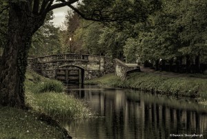 4387 Lock and bridge at Mount St. Cres Street, Dublin, Ireland