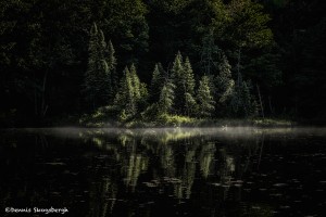 4440 Morning, Algonquin Park, Ontario, Canada