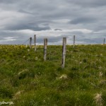 4488 Flatey Island, Iceland