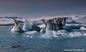 4527 Icebergs, Jökulsárlón Glacier Lagoon, Iceland