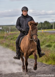 4574 Icelandic Horse Training