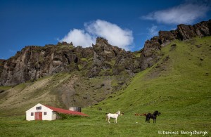 4576 Southeastern Iceland Landscape