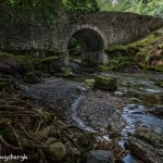 4629 Old Bridge, Tollymore Forest Park, Northern Ireland