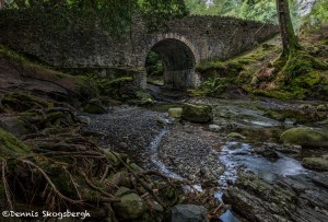 4629 Old Bridge, Tollymore Forest Park, Northern Ireland