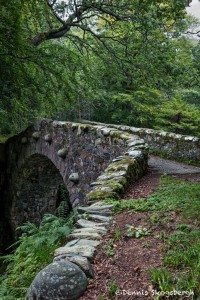 4630 Foley's Bridge, Tollymore Forest Park, Northern Ireland