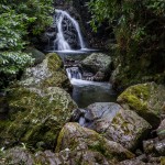 4661 Cascade at Tollymore Forest, Northern Ireland
