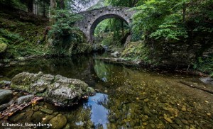 4677 Foley's Bridge, Tollymore Forest Park, Northern Ireland