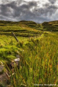 4681 Landscape of Northern Ireland, Ballintoy