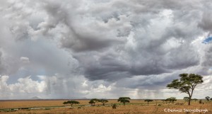 4736 Serengeti, Tanzania