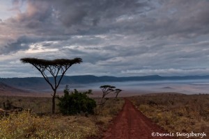 4753 Sunrise, Ngorongoro Crater, Tanzania