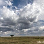 4764 Serengeti, Tanzania